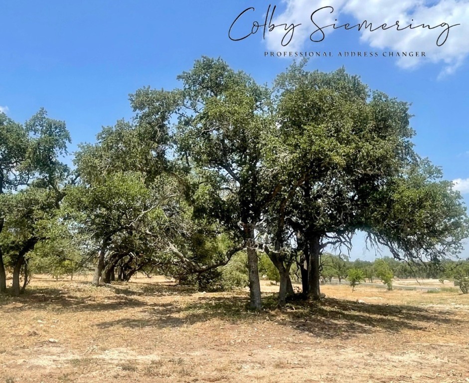 0 Spring Preserve Trl  