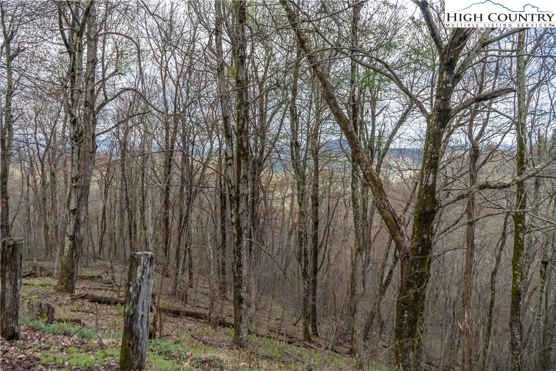 Rabbit Run Road Boone, NC 28607 - Photo 1 of 3 Gallery Image 1