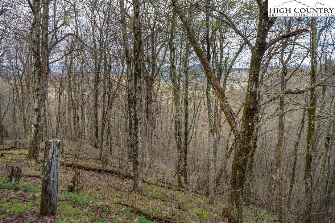 Rabbit Run Road Boone, NC 28607 - Photo 2 of 3 Gallery Image 2
