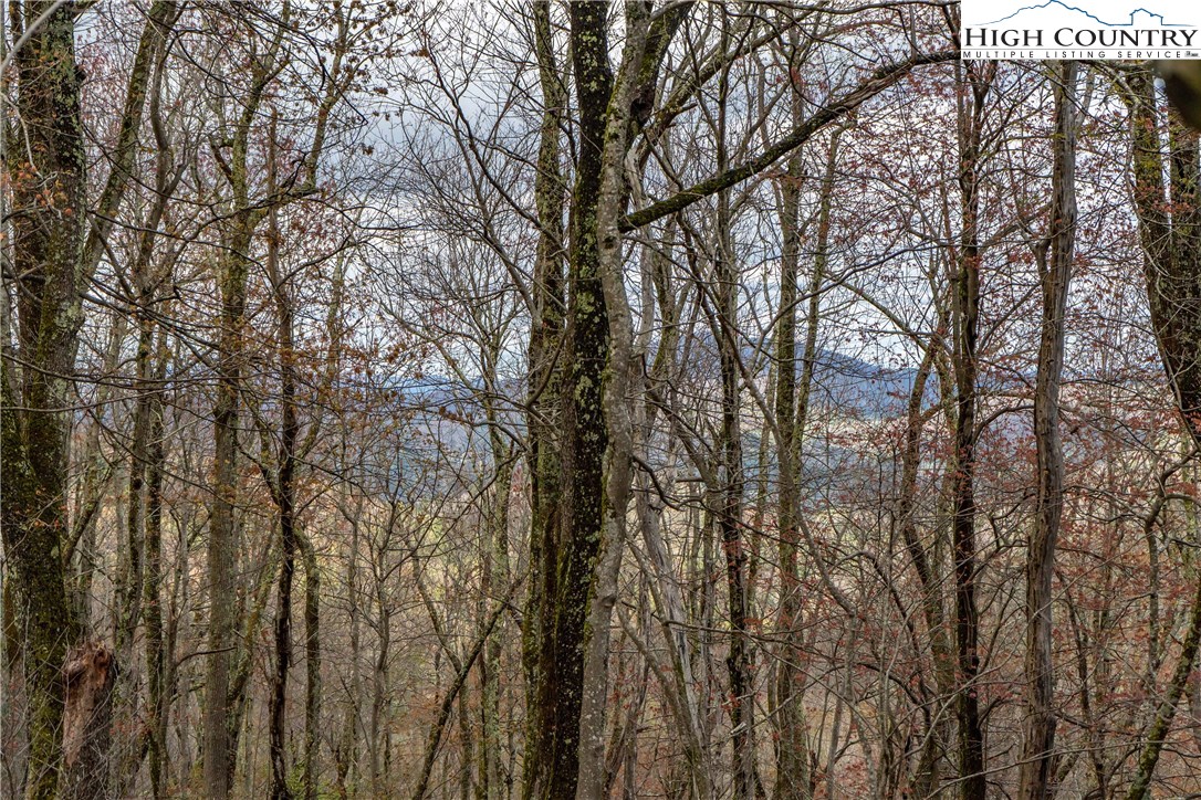 Rabbit Run Road Boone, NC 28607 - Photo 3 of 3 Gallery Image 3