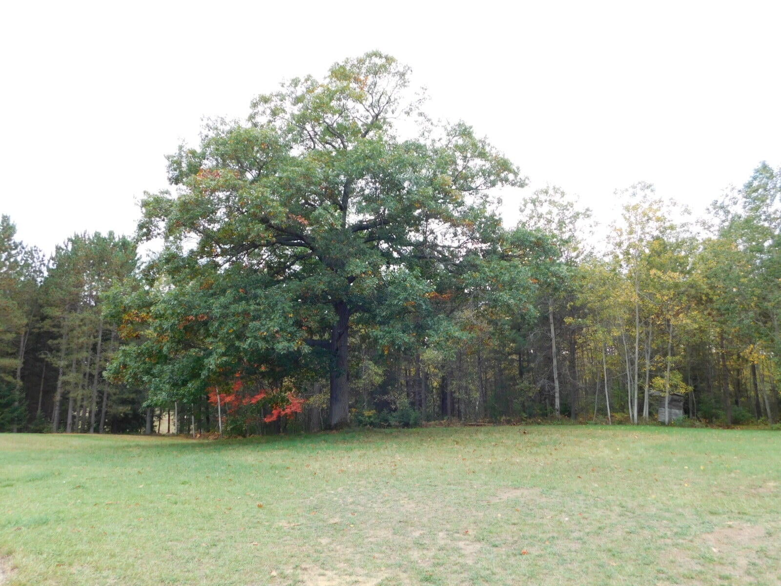1713 Coupland Road Mio, MI 48647 - Photo 12 of 41 Gallery Image 12
