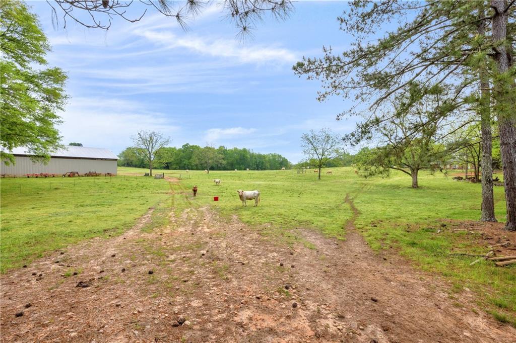 2450 Chestnut Grove Road Shiloh, GA 31826 - Photo 12 of 46 a view of a golf course with a lake