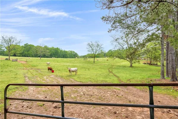 a view of an ocean beach