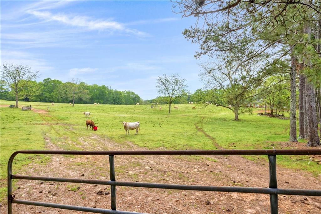 2450 Chestnut Grove Road Shiloh, GA 31826 - Photo 13 of 46 a view of a park with an outdoor space