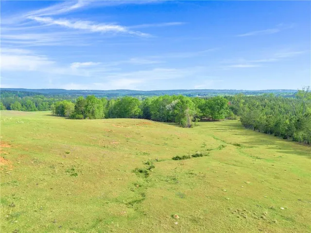 a view of a grassy field with trees