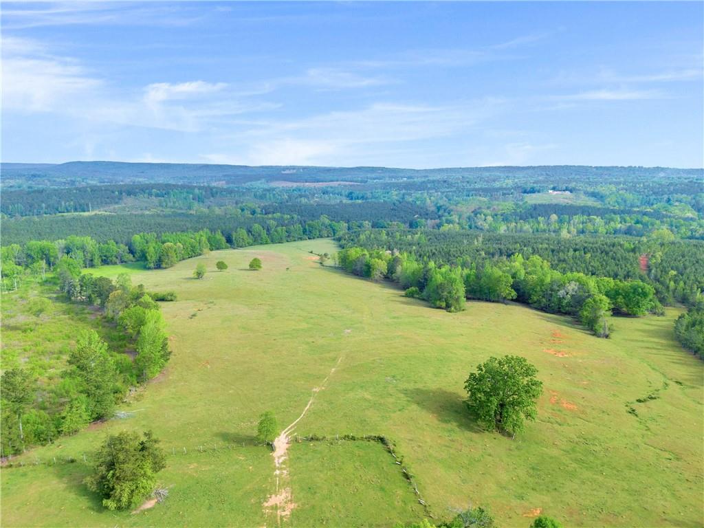2450 Chestnut Grove Road Shiloh, GA 31826 - Photo 16 of 46 a view of a big yard with lots of green space