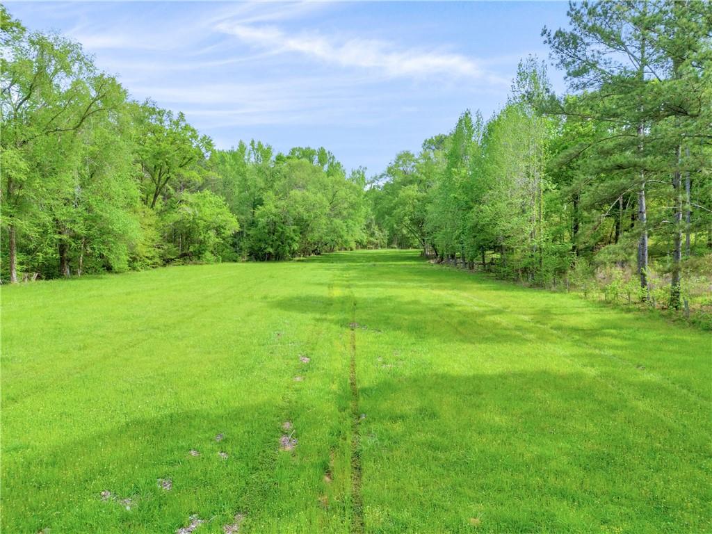 2450 Chestnut Grove Road Shiloh, GA 31826 - Photo 17 of 46 a view of a grassy field with trees