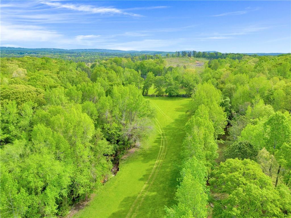2450 Chestnut Grove Road Shiloh, GA 31826 - Photo 18 of 46 a view of under green field