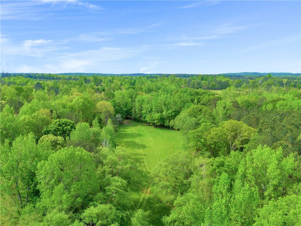 2450 Chestnut Grove Road Shiloh, GA 31826 - Photo 19 of 46