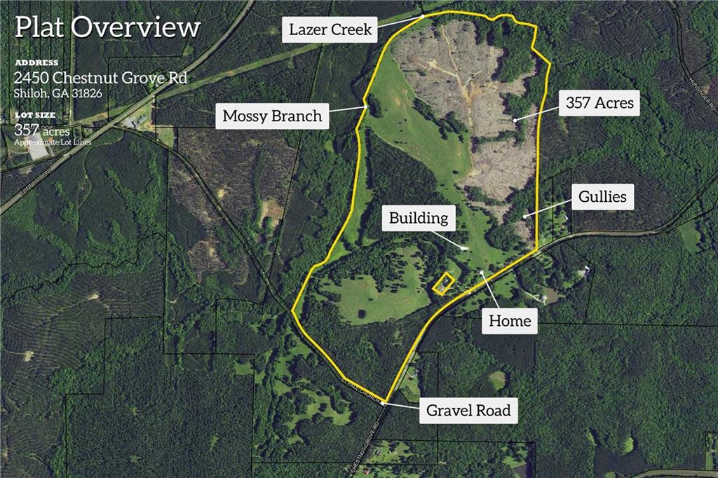 2450 Chestnut Grove Road Shiloh, GA 31826 - Photo 2 of 46