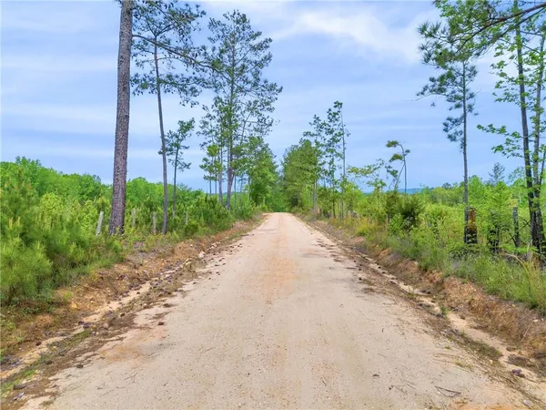 a view of a lush green outdoor space with a swimming pool and valleys in the background