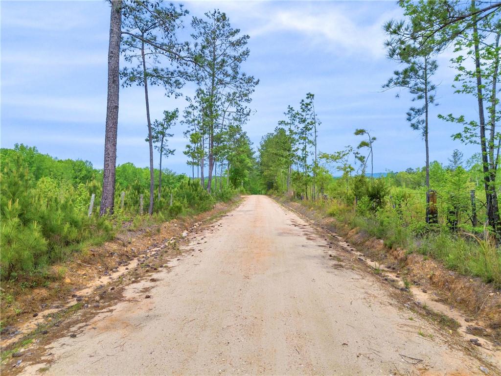 2450 Chestnut Grove Road Shiloh, GA 31826 - Photo 21 of 46 a view of a road with a garden