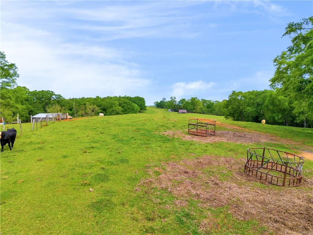 2450 Chestnut Grove Road Shiloh, GA 31826 - Photo 24 of 46 a view of an outdoor space and a yard