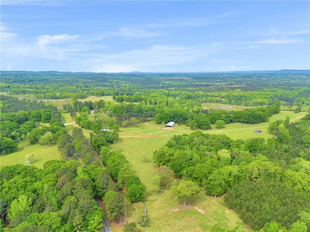 2450 Chestnut Grove Road Shiloh, GA 31826 - Photo 28 of 46 a view of a garden with an ocean