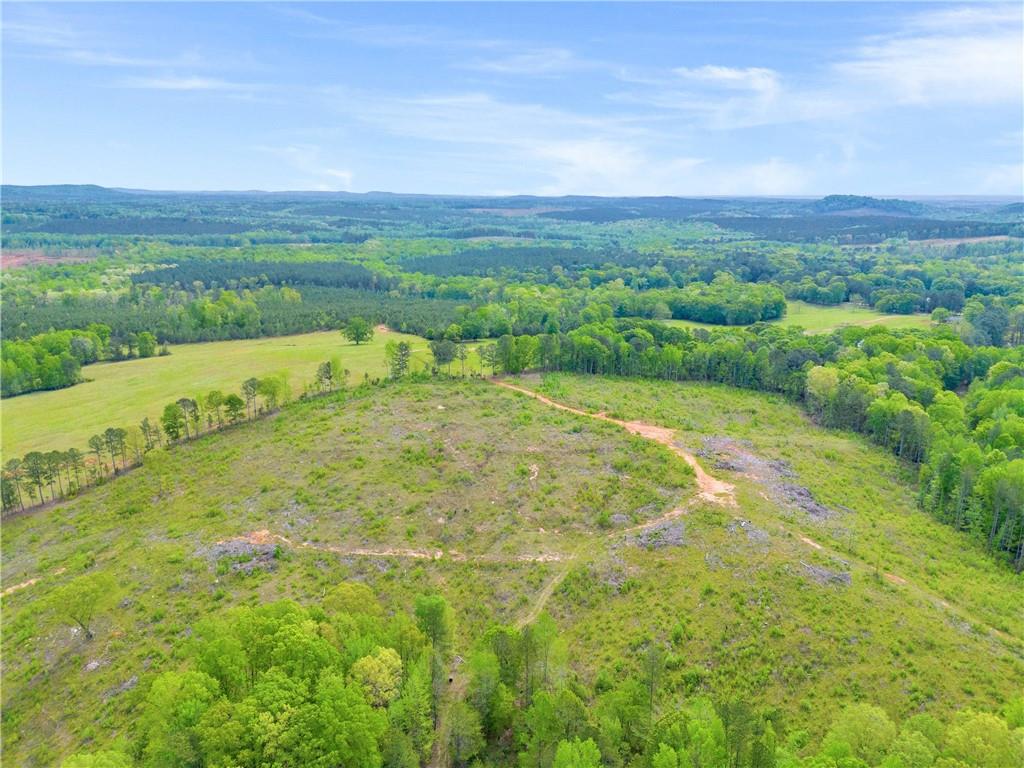 2450 Chestnut Grove Road Shiloh, GA 31826 - Photo 30 of 46 a view of an outdoor space and a yard
