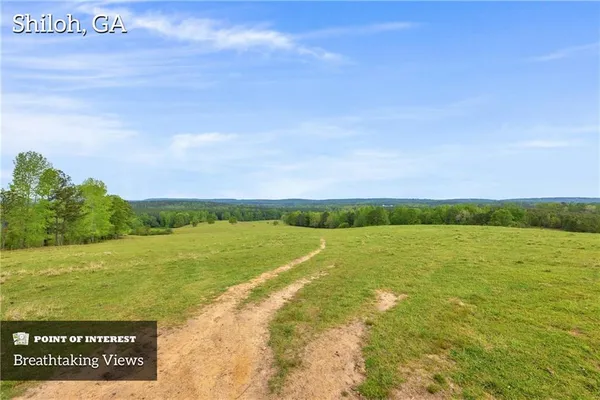 a view of a garden with trees