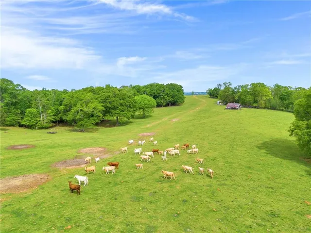 a view of a lush green space with sea