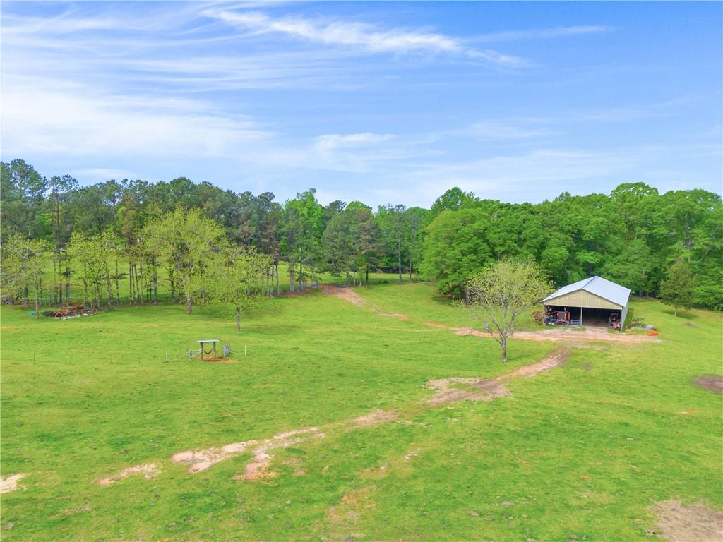 2450 Chestnut Grove Road Shiloh, GA 31826 - Photo 33 of 46 a view of a lake with a yard