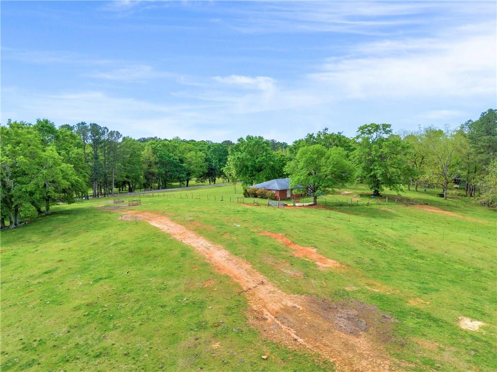 2450 Chestnut Grove Road Shiloh, GA 31826 - Photo 34 of 46 a view of a green field with clear sky