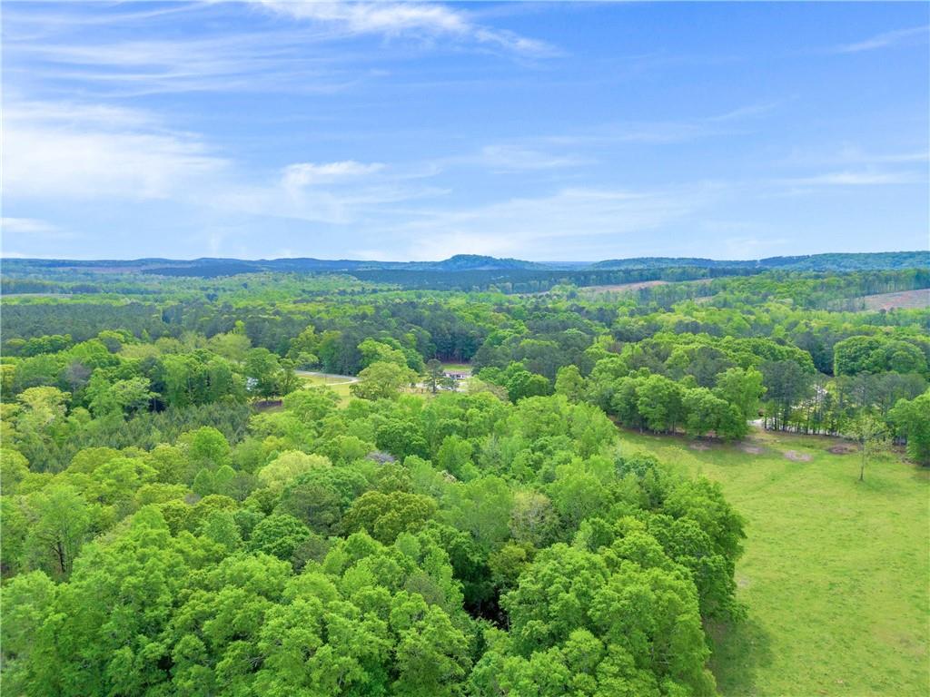 2450 Chestnut Grove Road Shiloh, GA 31826 - Photo 35 of 46 a view of a big yard with plants and a large trees