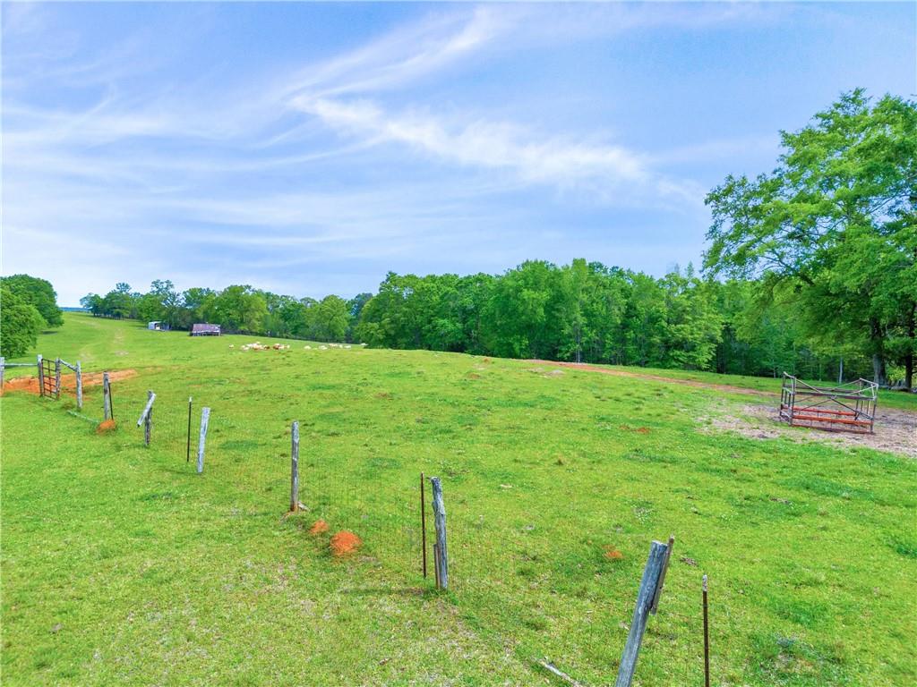 2450 Chestnut Grove Road Shiloh, GA 31826 - Photo 38 of 46 a view of a garden with a lake