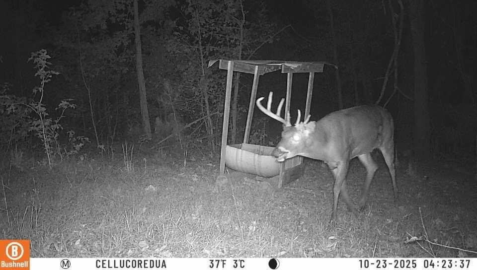 2450 Chestnut Grove Road Shiloh, GA 31826 - Photo 40 of 46 a view of outdoor space