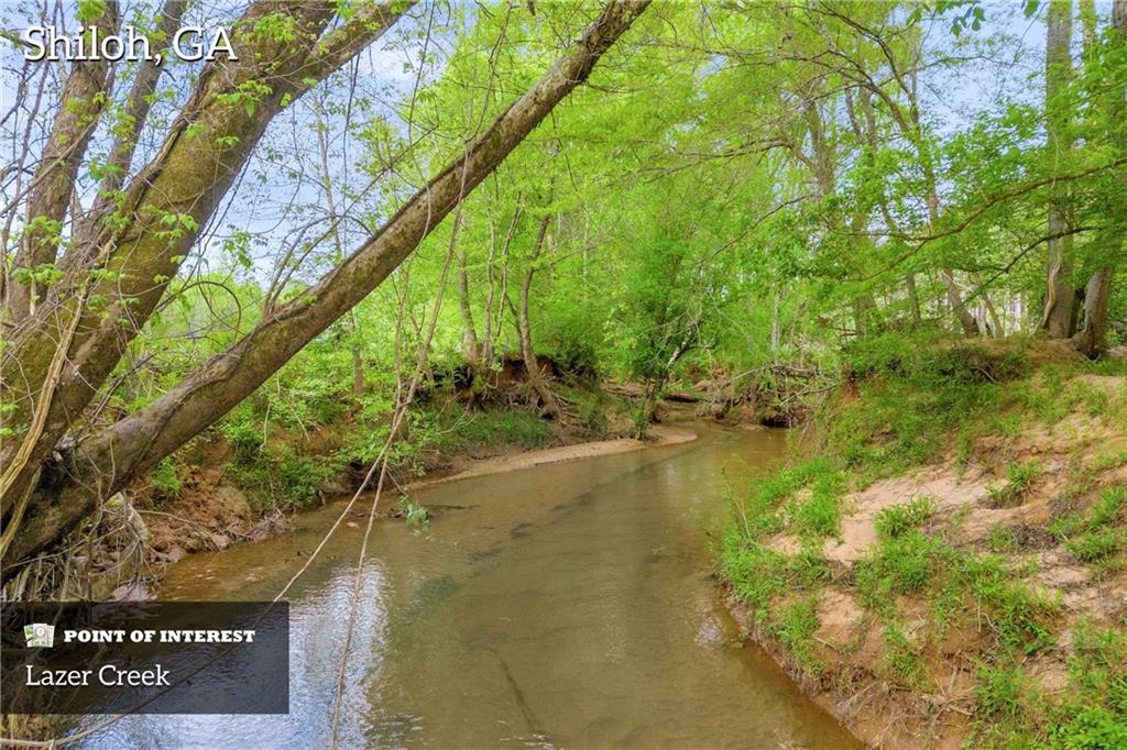 2450 Chestnut Grove Road Shiloh, GA 31826 - Photo 4 of 46 a view of lake