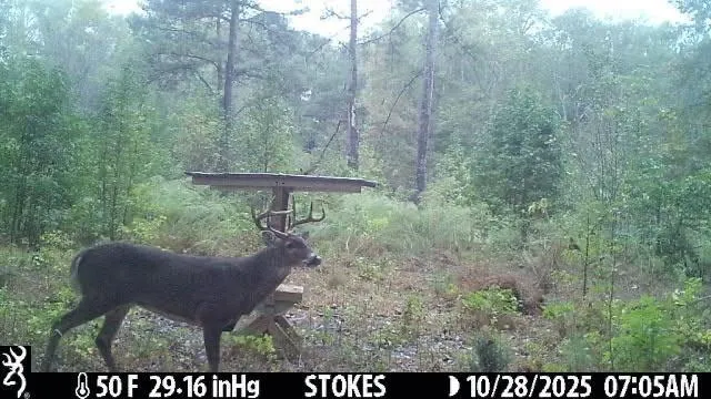 a view of outdoor space