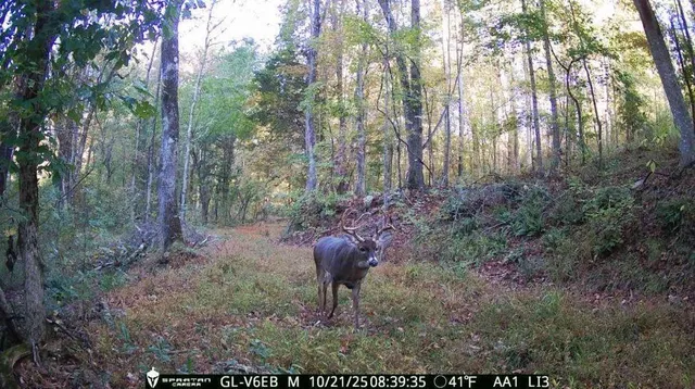 $2,102,730 | 2450 Chestnut Grove Road, Shiloh, GA 31826