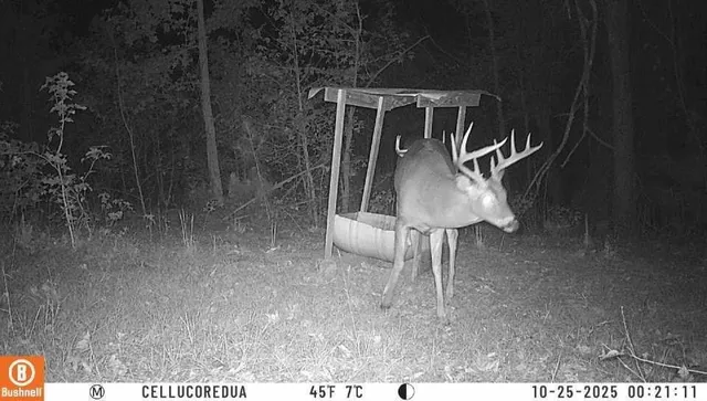 $2,102,730 | 2450 Chestnut Grove Road, Shiloh, GA 31826