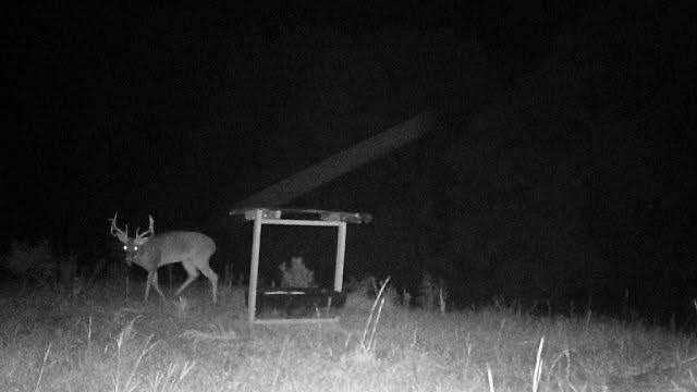2450 Chestnut Grove Road Shiloh, GA 31826 - Photo 44 of 46 a front view of a house with a yard