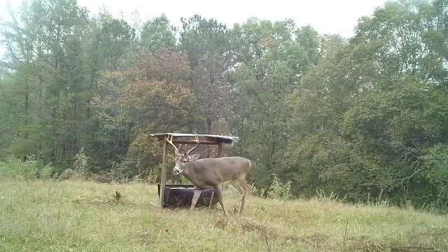 $2,102,730 | 2450 Chestnut Grove Road, Shiloh, GA 31826