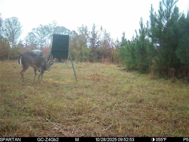 $2,102,730 | 2450 Chestnut Grove Road, Shiloh, GA 31826