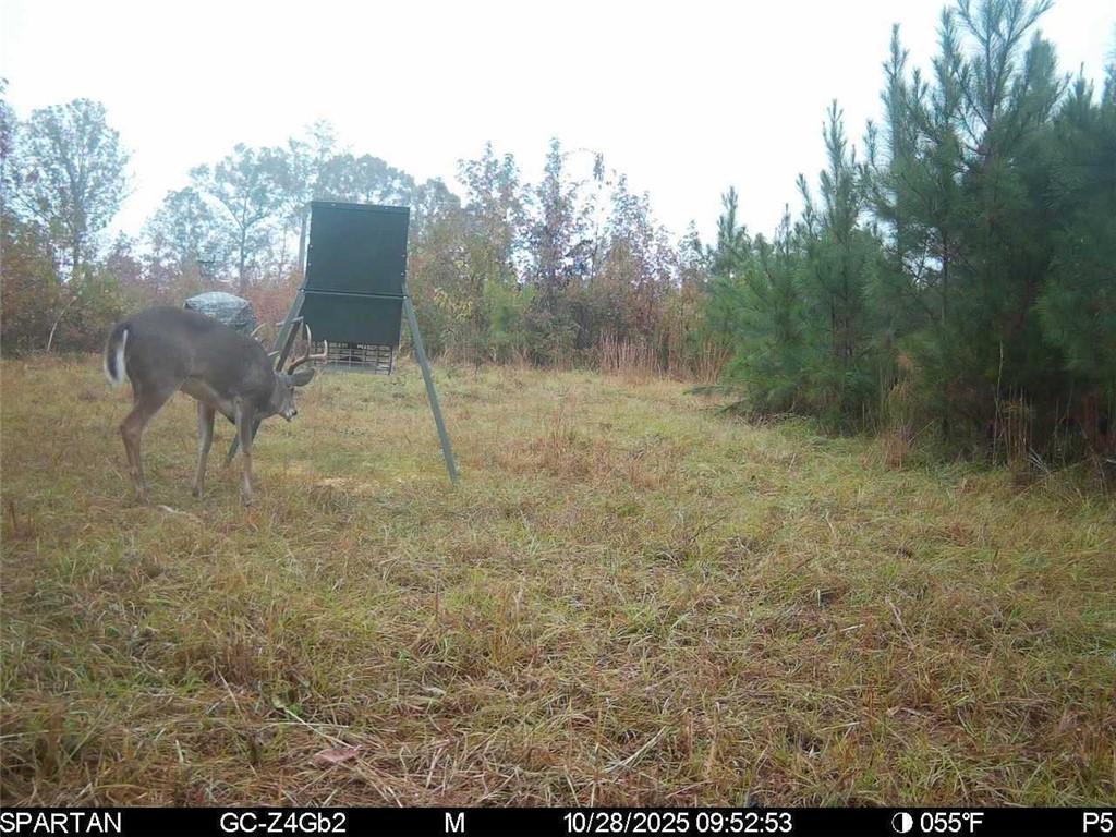 2450 Chestnut Grove Road Shiloh, GA 31826 - Photo 46 of 46 a view of outdoor space