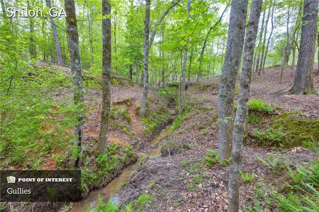 a view of a garden with a bench