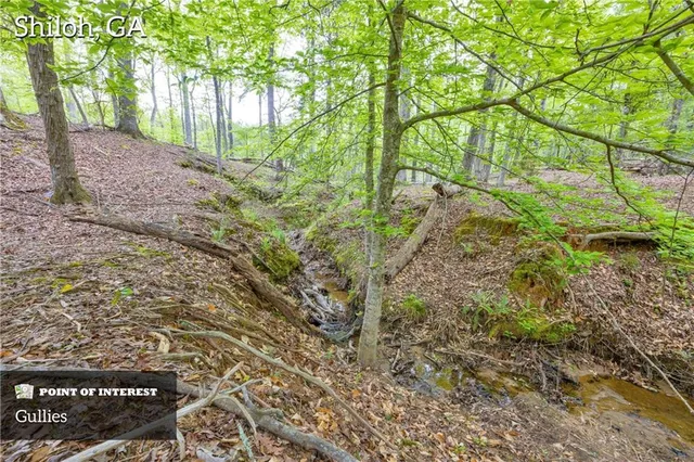 a view of a field with an ocean view
