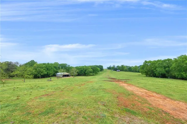 a view of a grassy area with an trees