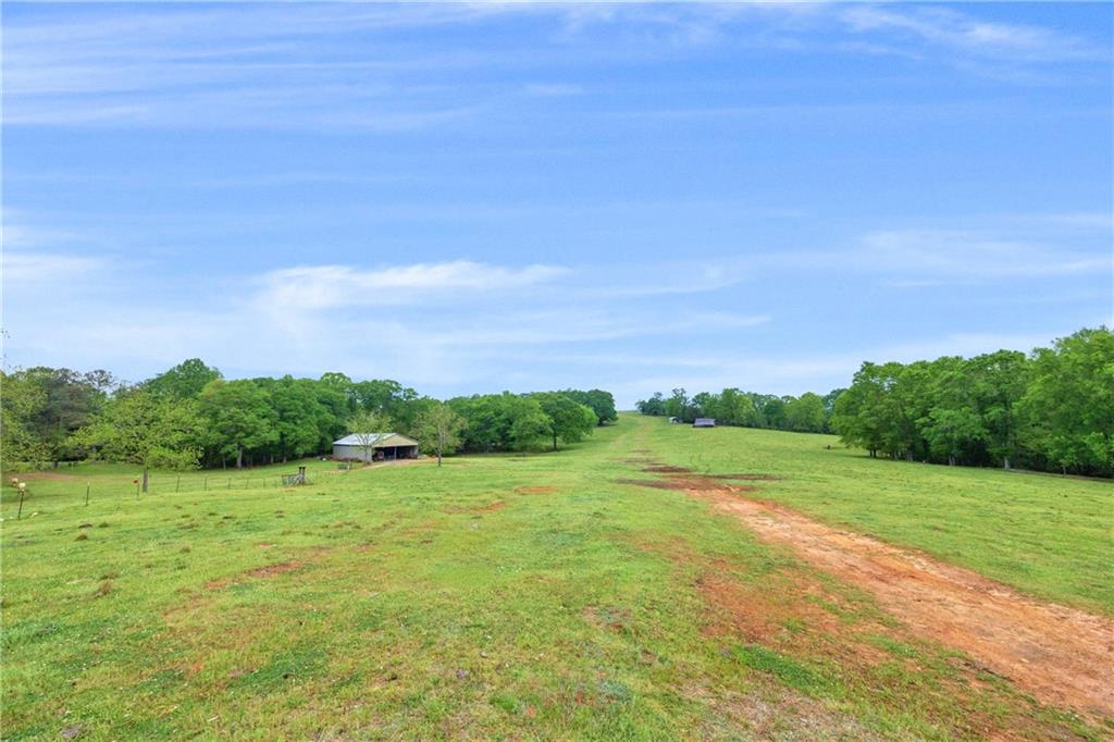 2450 Chestnut Grove Road Shiloh, GA 31826 - Photo 8 of 46 a view of a field with an ocean view