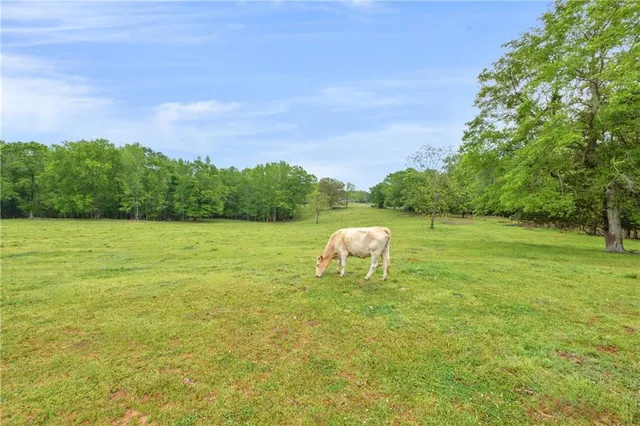 a view of a golf course with a lake
