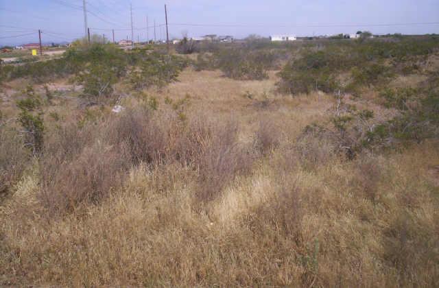 227 West Patton Road, Unit UNK Wittmann, AZ 85361 - Photo 1 of 3 Primary Photo
