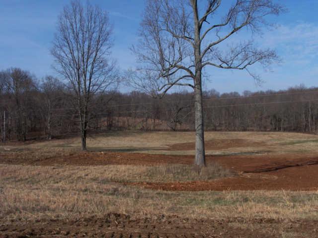 0 Ogg Road Adams, TN 37010 - Photo 11 of 20
