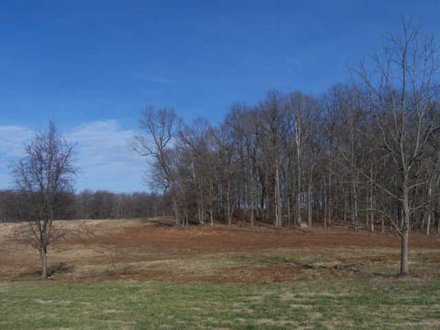 0 Ogg Road Adams, TN 37010 - Photo 12 of 20