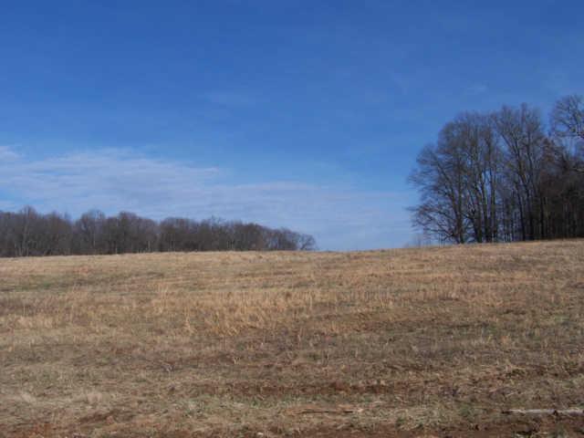 0 Ogg Road Adams, TN 37010 - Photo 13 of 20