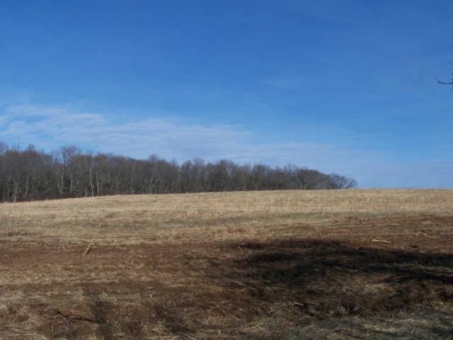 0 Ogg Road Adams, TN 37010 - Photo 14 of 20