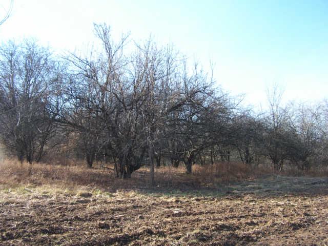 0 Ogg Road Adams, TN 37010 - Photo 15 of 20