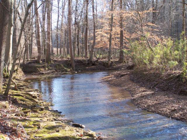 0 Ogg Road Adams, TN 37010 - Photo 16 of 20