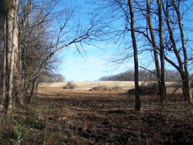 0 Ogg Road Adams, TN 37010 - Photo 17 of 20