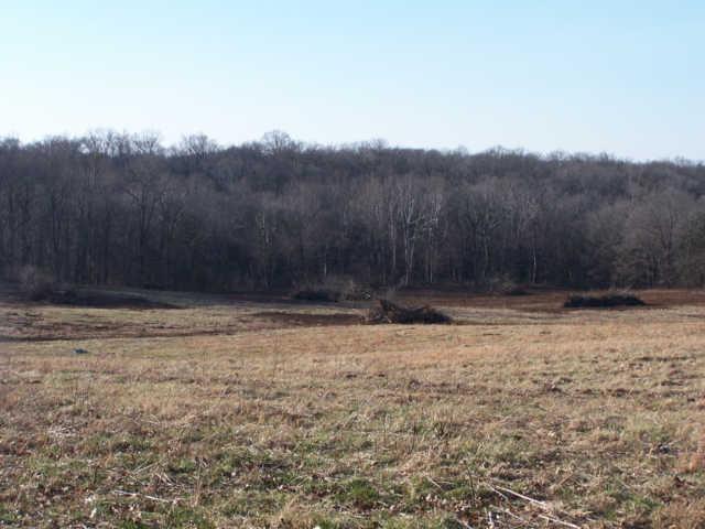 0 Ogg Road Adams, TN 37010 - Photo 18 of 20