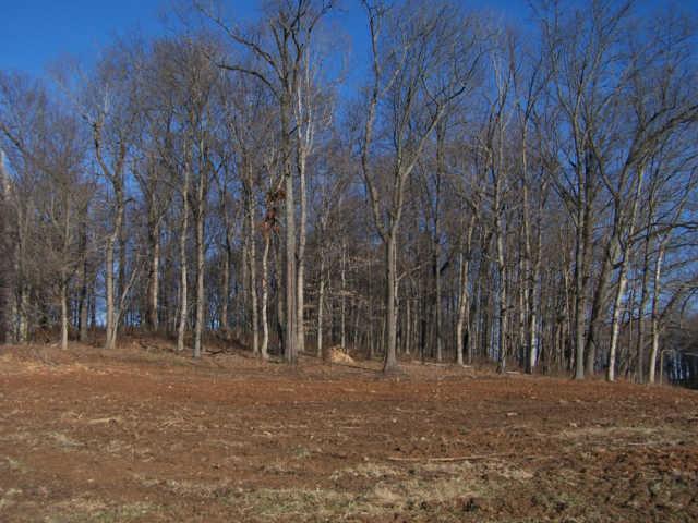0 Ogg Road Adams, TN 37010 - Photo 19 of 20