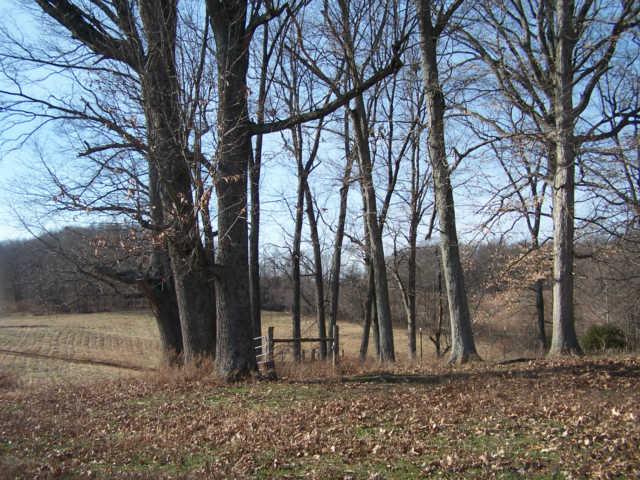 0 Ogg Road Adams, TN 37010 - Photo 5 of 20